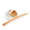 Bath Brush with a Replacement Head (FSC 100%) - Image 4